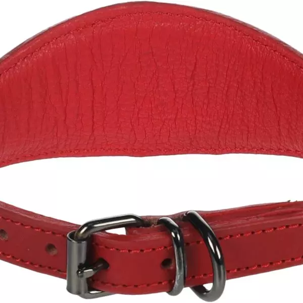 Flamingo Denver Windhond  Halsband HALSBAND DENVER WHIPPET ROOD M 31-38CM 55MM Deze rode halsband is ideaal voor jouw hond. Gemaakt van buffelleder en gevuld met schuim voor extra comfort. De donkergrijze gesp zorgt voor een mooie afwerking. Dankzij het geoliede en genaaide leder is de halsband sterk en duurzaam.