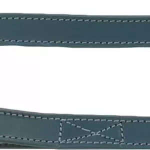 Flamingo Denver Gewoon  Looplijn LOOPLIJN DENVER BLAUW 130CM 22MM Geef je hond een stoere en stijlvolle uitstraling tijdens jullie wandelingen met de Looplijn Denver Blauw. Gemaakt van buffelleder en voorzien van een glanzende donkergrijze karabijnhaak. Extra stevig dankzij het geoliede en genaaide leder.