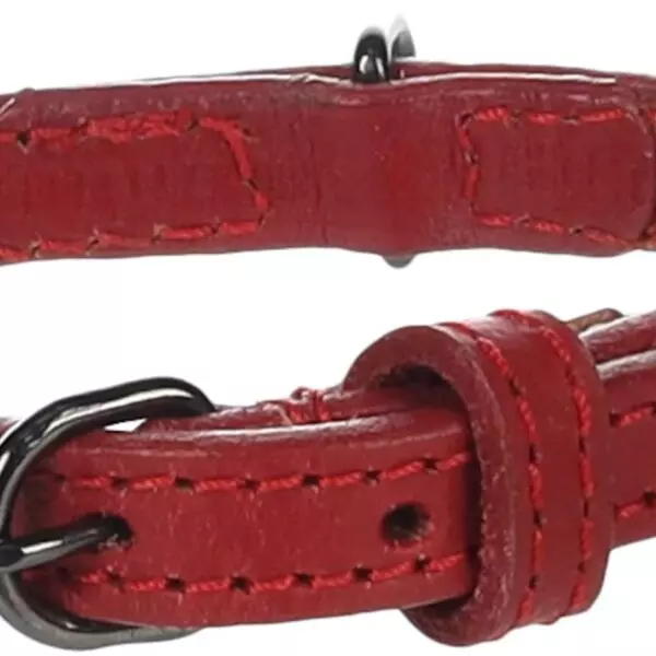 Flamingo Denver Gewoon  Halsband HALSBAND DENVER ROOD XS 20-25CM 10MM Deze rode halsband is ideaal voor jouw hond. Hij is gemaakt van buffelleder en heeft een glanzende donkergrijze gesp. Het geoliede leder en de stevige naden zorgen voor langdurig gebruik.