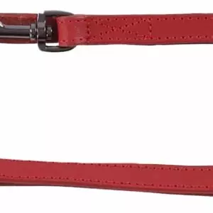 Flamingo Denver Gewoon  Trainingslijn TRAININGSLIJN DENVER ROOD 200CM 18MM De Trainingslijn Denver Rood is ideaal voor avontuurlijke honden. Het is gemaakt van buffelleder en heeft glanzende donkergrijze karabijnhaken. De lijn is 3-voudig verstelbaar en het geoliede leder zorgt voor extra stevigheid. Of je nu een korte