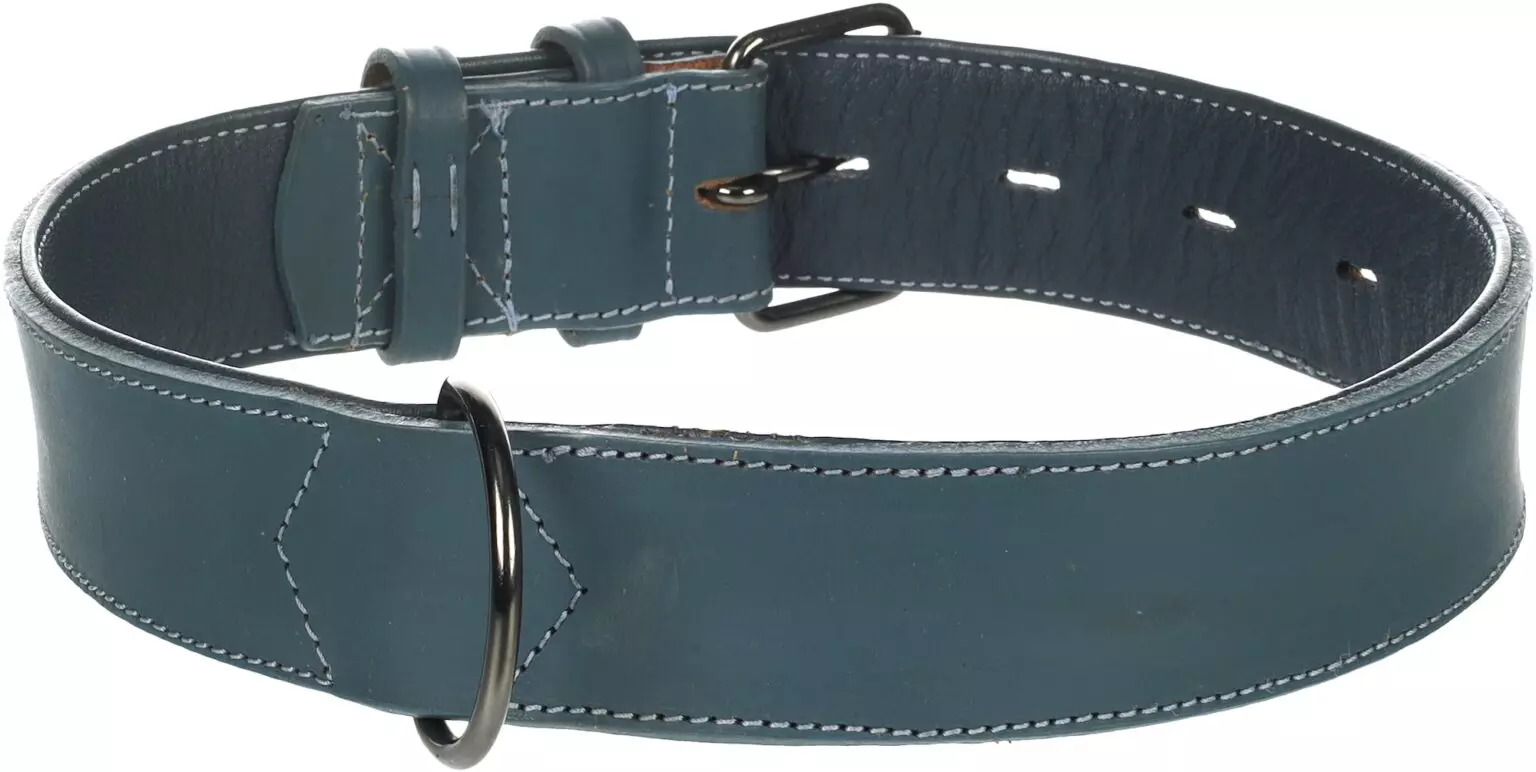 Flamingo Denver Gevoerd;breed - Halsband Honden - Halsband Denver Breed Blauw Xxl 56-73cm 45mm - 1st - 174681 - Afbeelding 2