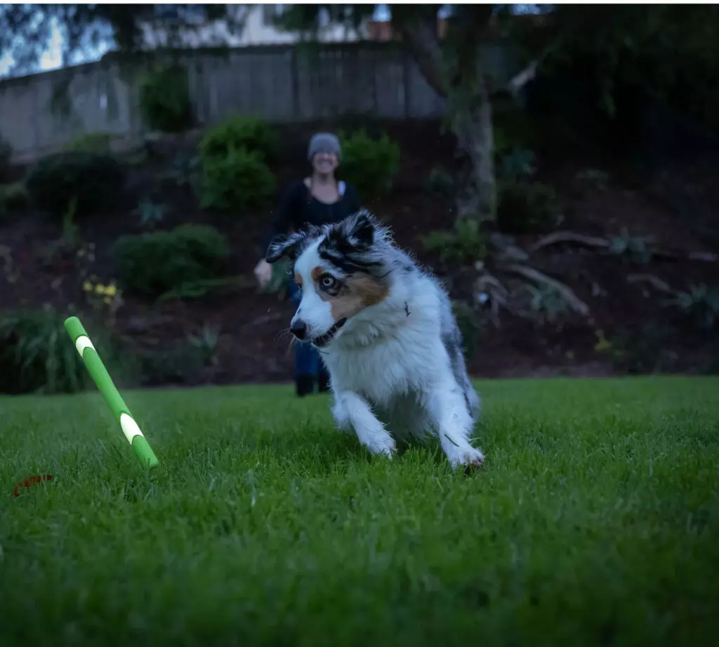 CHUCKIT! - MAX GLOW ULTRA FETCH STICK GROEN - Afbeelding 2